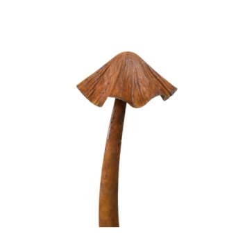 Dekoracja Ogrodowa