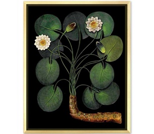 Тропические листья