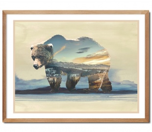 Животные - прочее