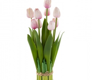 Веточки венки