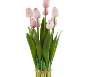 Веточки венки